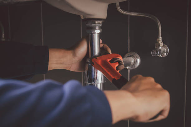 Best Clogged Drain Plumber  in Monte Vista, CO